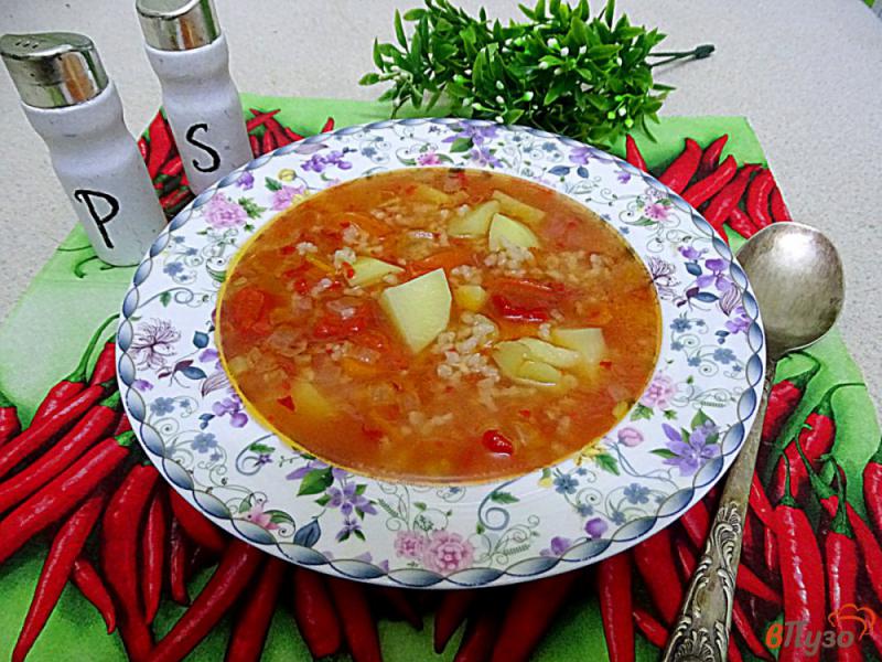 Фото приготовление рецепта: Суп с рисом картофелем и овощами шаг №7