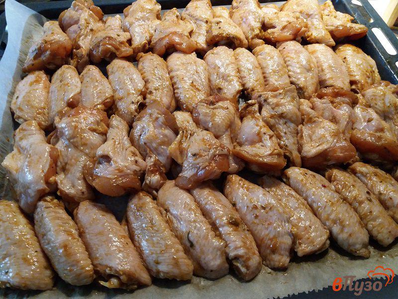 Фото приготовление рецепта: Карамелизованные куриные крылышки из духовки шаг №5