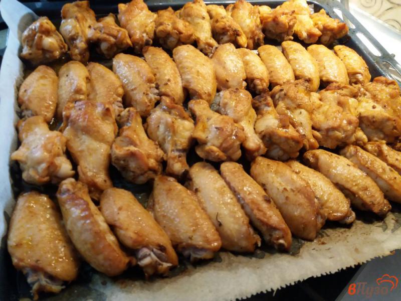 Фото приготовление рецепта: Карамелизованные куриные крылышки из духовки шаг №7