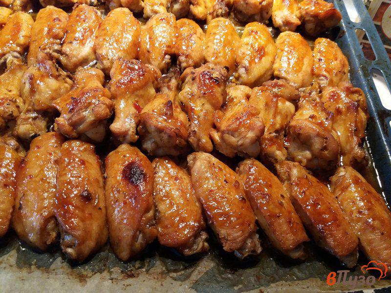 Фото приготовление рецепта: Карамелизованные куриные крылышки из духовки шаг №9