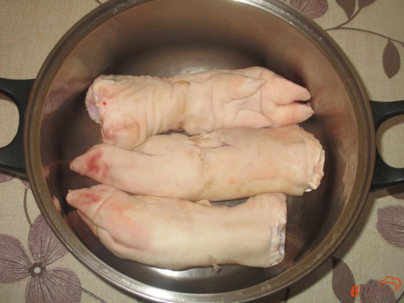 Фото приготовление рецепта: Холодец «Лайт» из свиных ножек с желатином шаг №1