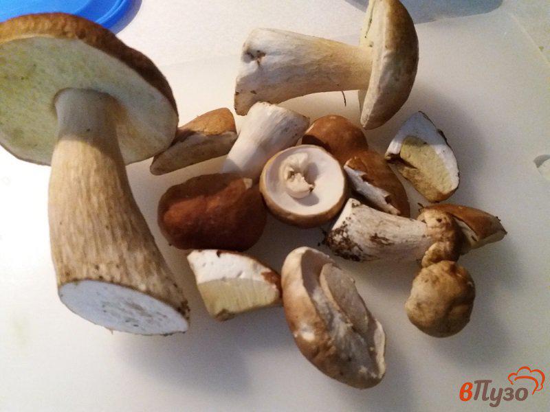 Фото приготовление рецепта: Сушеные белые грибы шаг №1