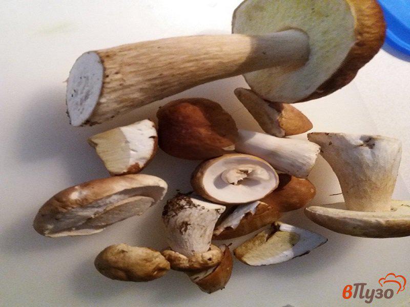 Фото приготовление рецепта: Маринованные белые грибы шаг №1
