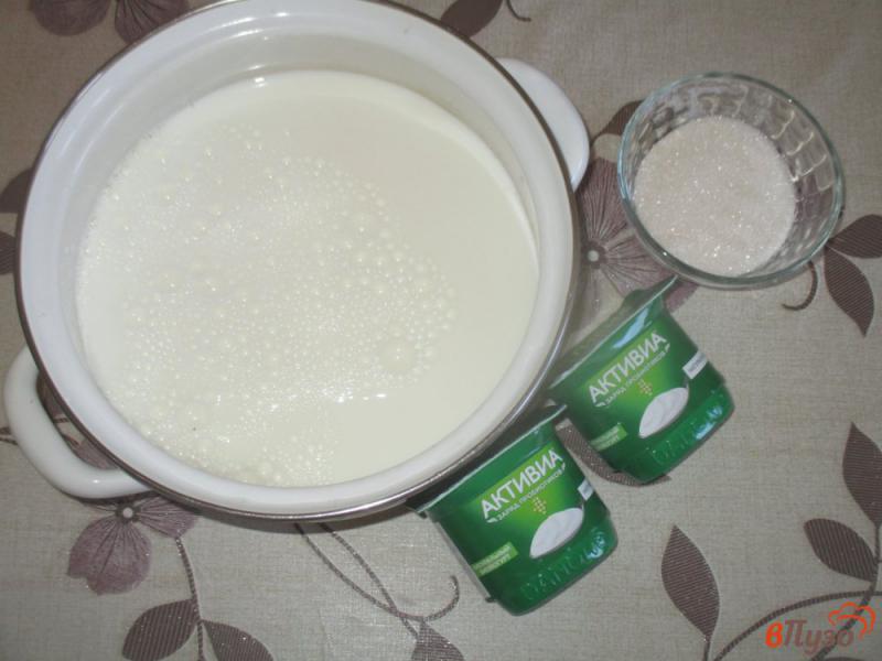 Фото приготовление рецепта: Готовый завтрак на домашнем йогурте шаг №1