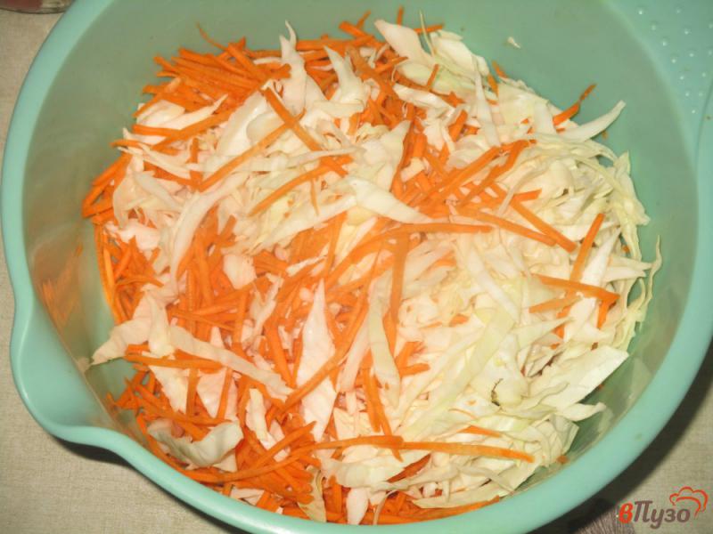 Фото приготовление рецепта: Помидоры консервированные с капустой и морковью шаг №1