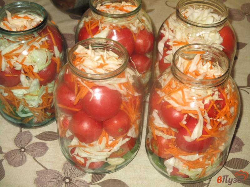 Фото приготовление рецепта: Помидоры консервированные с капустой и морковью шаг №2