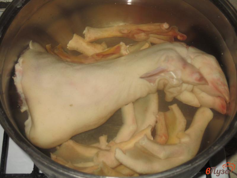 Фото приготовление рецепта: Холодец из свиной ноги и утиных лапок шаг №2