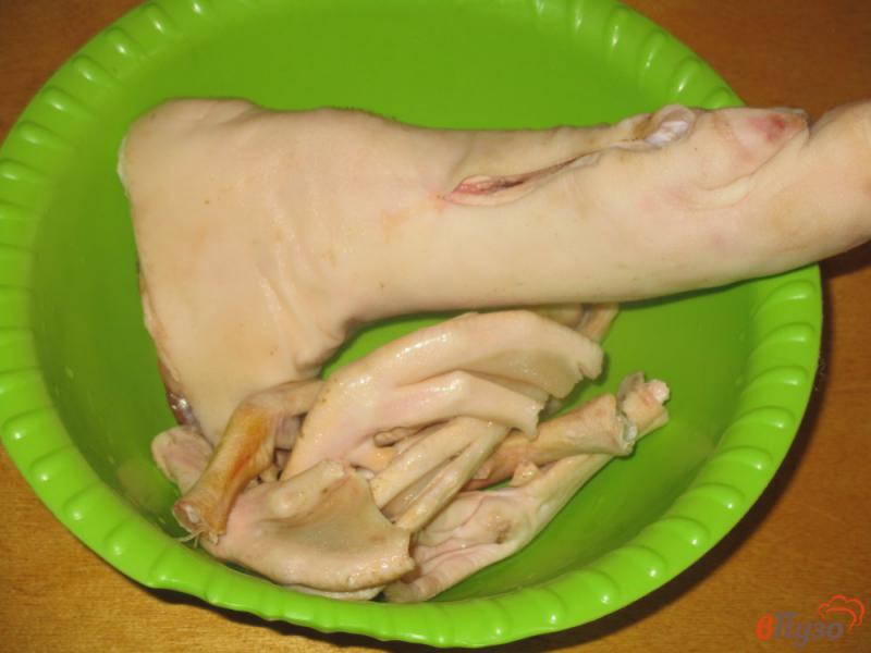 Фото приготовление рецепта: Холодец из свиной ноги и утиных лапок шаг №1