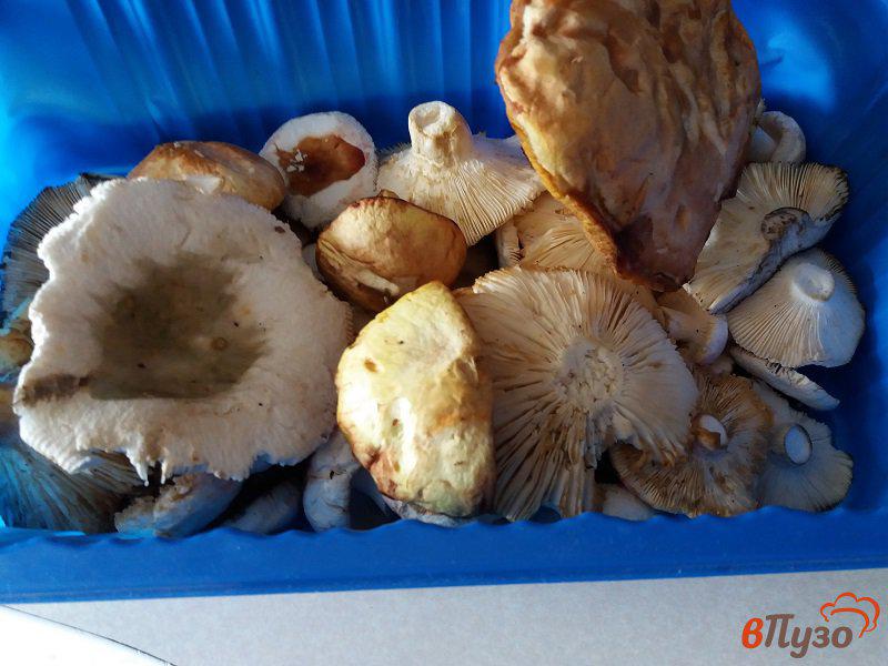 Фото приготовление рецепта: Жареные лесные грибы шаг №1