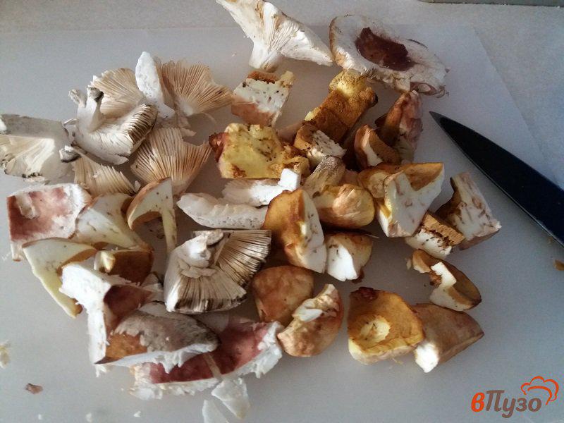 Фото приготовление рецепта: Жареные лесные грибы шаг №2