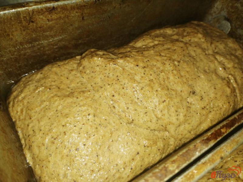 Фото приготовление рецепта: Ржаной хлеб с солодом шаг №8