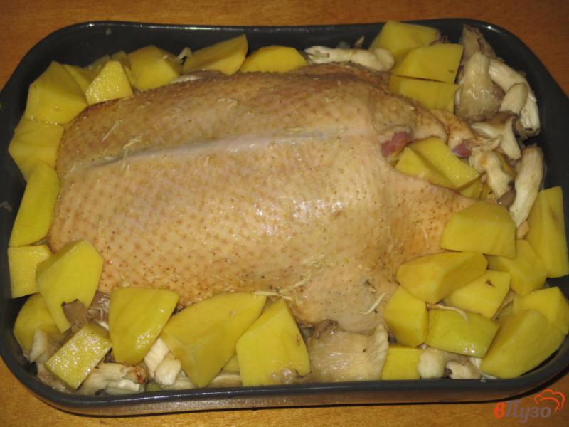 Фото приготовление рецепта: Утка запеченная с картофелем и вешенками шаг №4