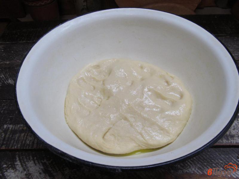 Фото приготовление рецепта: Пирог из дрожжевого теста с творожной начинкой и маком шаг №5