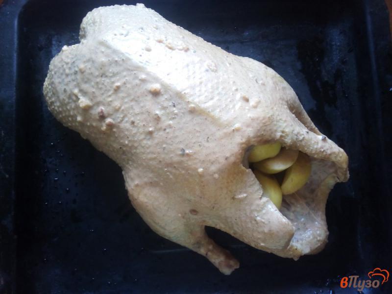 Фото приготовление рецепта: Утка с яблоками в духовке шаг №5