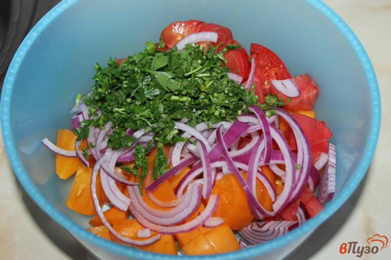 Фото приготовление рецепта: Томатный салат с моцареллой и красным луком шаг №3