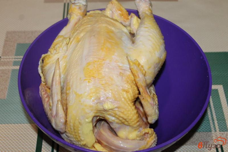 Фото приготовление рецепта: Запеченная курица с луком и базиликом в рукаве шаг №1