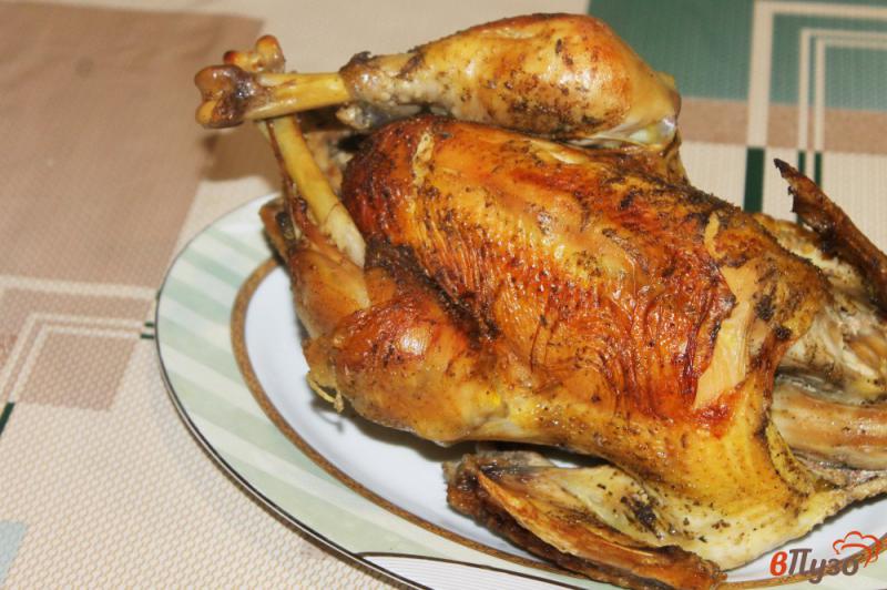 Фото приготовление рецепта: Запеченная курица с луком и базиликом в рукаве шаг №5