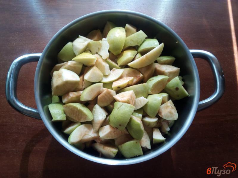Фото приготовление рецепта: Яблочное пюре для зефира на зиму шаг №2