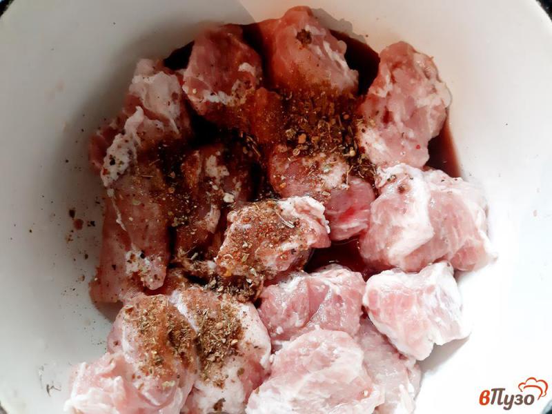 Фото приготовление рецепта: Шашлык из свинины в винном маринаде шаг №3