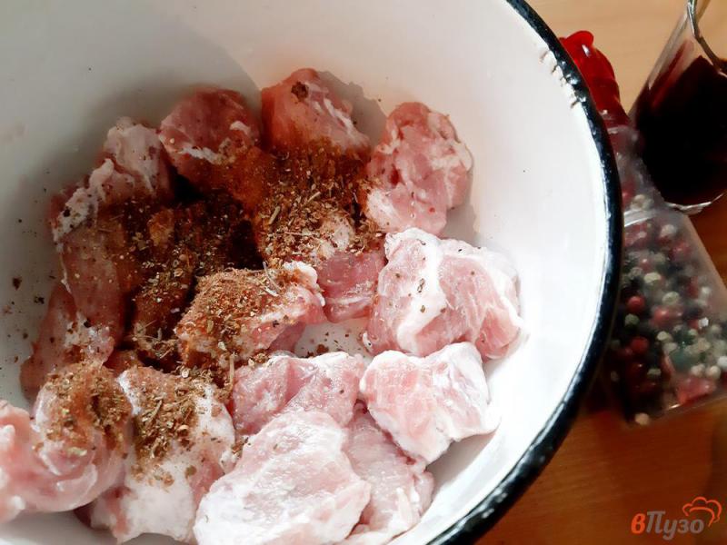 Фото приготовление рецепта: Шашлык из свинины в винном маринаде шаг №2