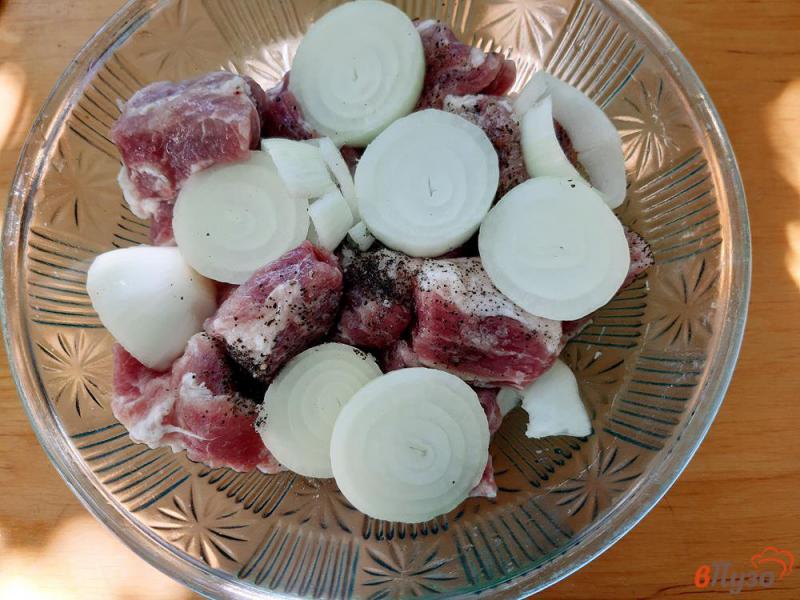Фото приготовление рецепта: Шашлык из свинины в маринаде с аджикой шаг №4