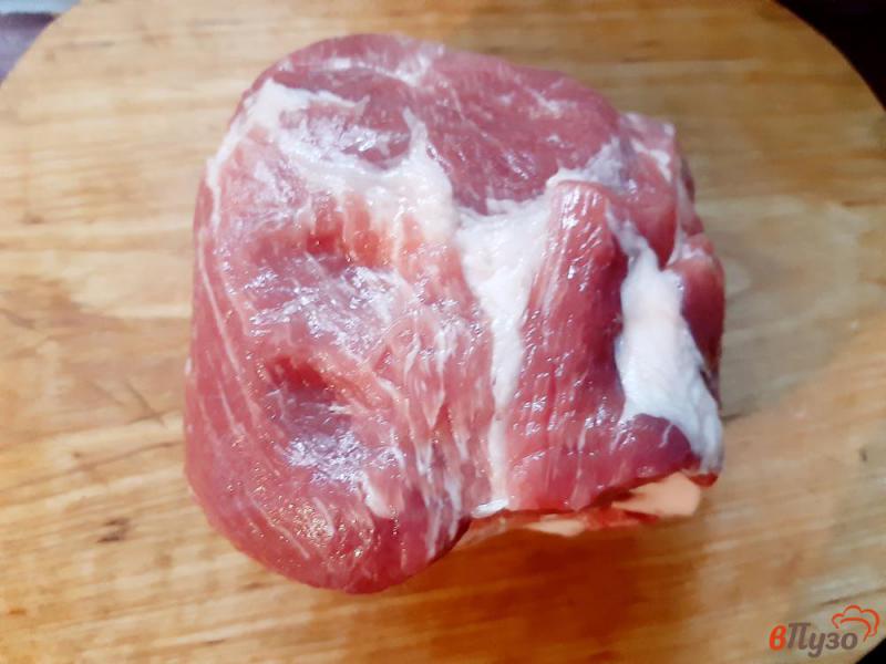 Фото приготовление рецепта: Шашлык из свинины в маринаде с аджикой шаг №1