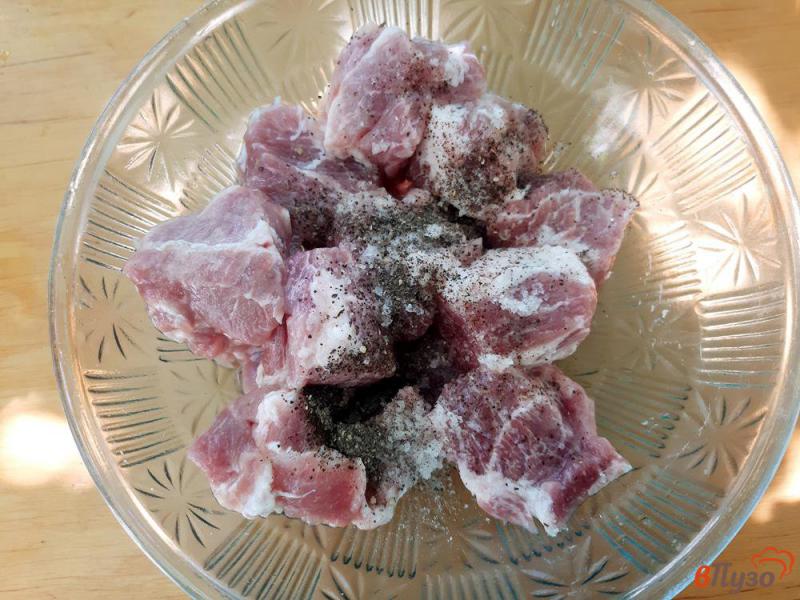 Фото приготовление рецепта: Шашлык из свинины в маринаде с аджикой шаг №3