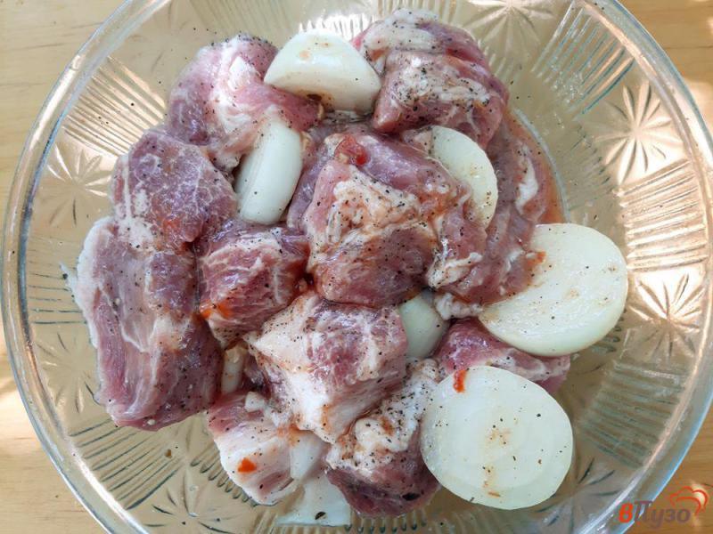 Фото приготовление рецепта: Шашлык из свинины в маринаде с аджикой шаг №6