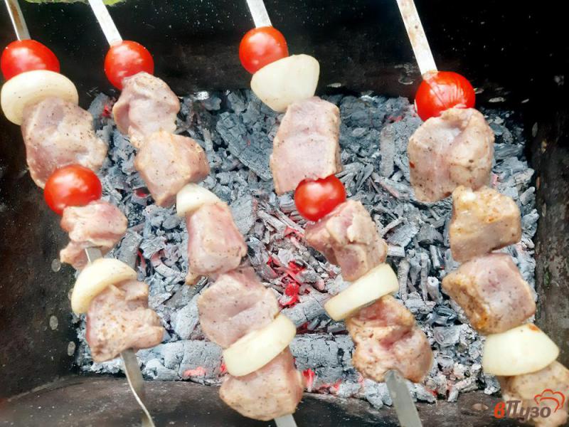 Фото приготовление рецепта: Шашлык из свинины в маринаде с аджикой шаг №8