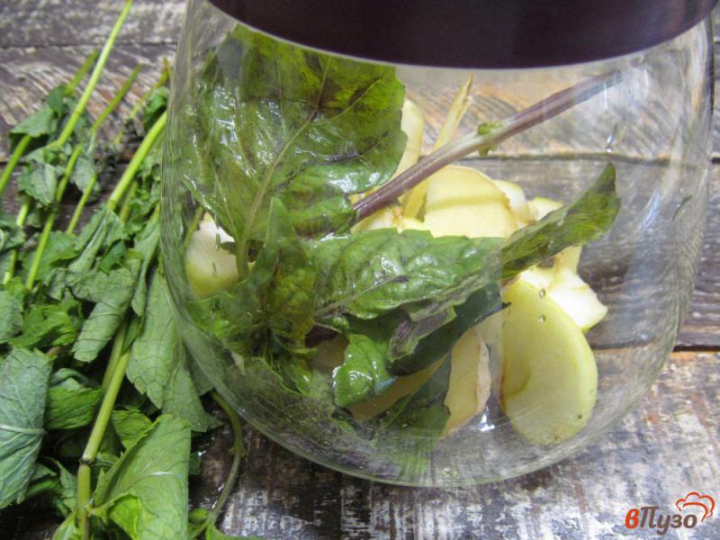 Фото приготовление рецепта: Яблочно-имбирный чай с мятой и базиликом шаг №3