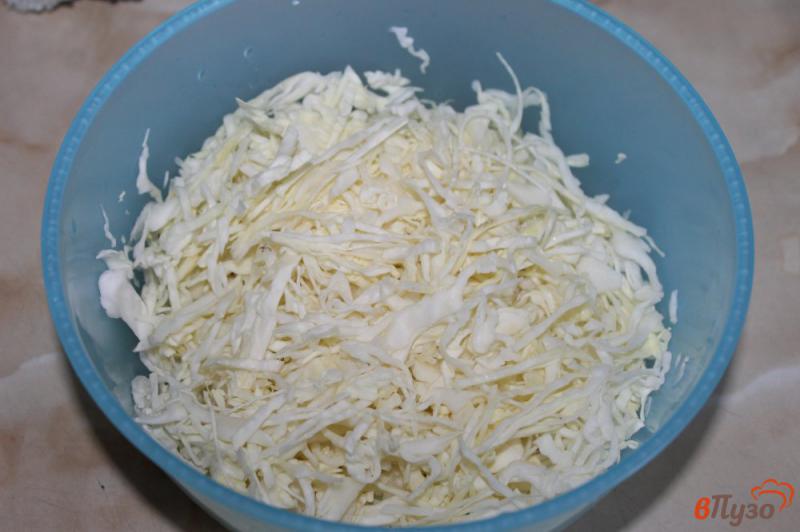 Фото приготовление рецепта: Легкий салат из капусты с огурцом и болгарским перцем шаг №1