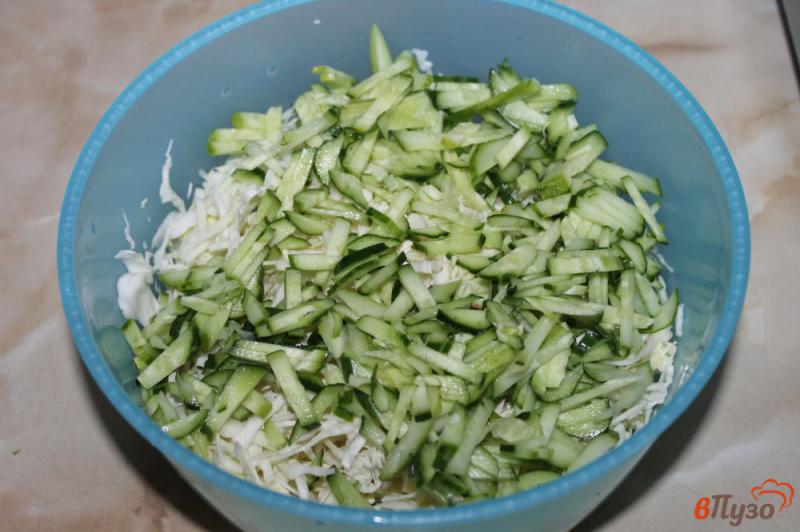 Фото приготовление рецепта: Легкий салат из капусты с огурцом и болгарским перцем шаг №2