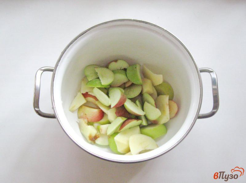 Фото приготовление рецепта: Компот из яблок и варенья из черной смородины шаг №1