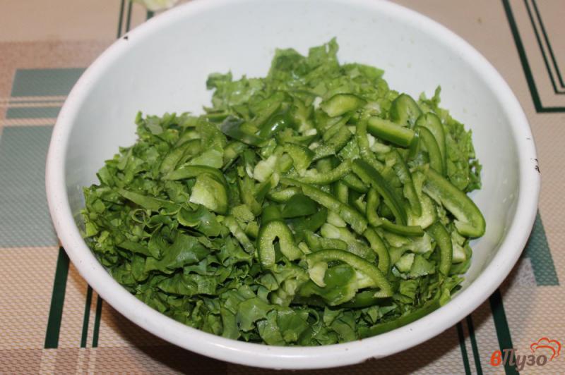Фото приготовление рецепта: Зеленый салат с огурцом и перцем шаг №2
