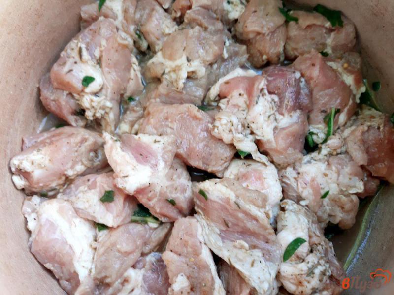 Фото приготовление рецепта: Шашлык из свинины в маринаде с руколой шаг №1