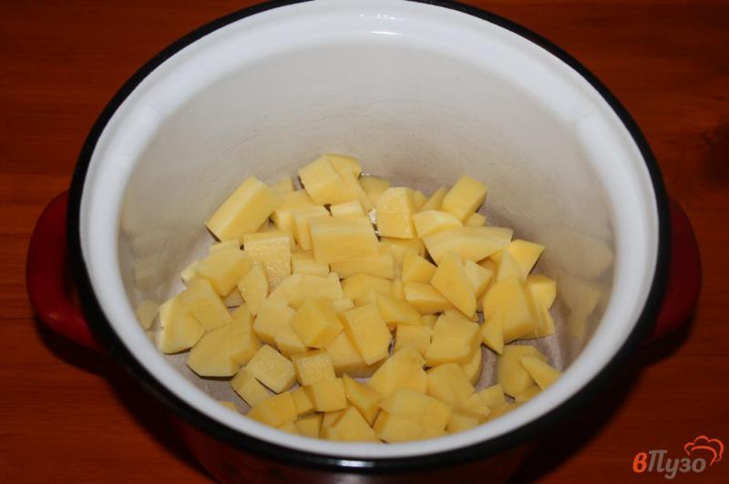 Фото приготовление рецепта: Суп грибной с фрикадельками шаг №1