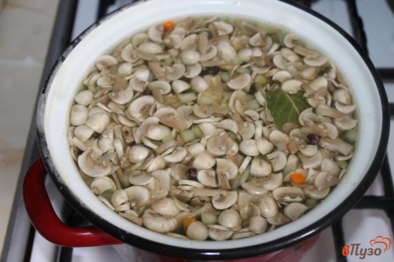 Фото приготовление рецепта: Суп грибной с фрикадельками шаг №3