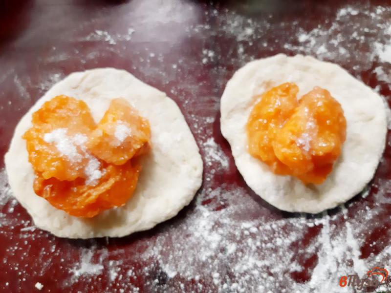 Фото приготовление рецепта: Пирожки дрожжевые на простокваше с абрикосами шаг №9