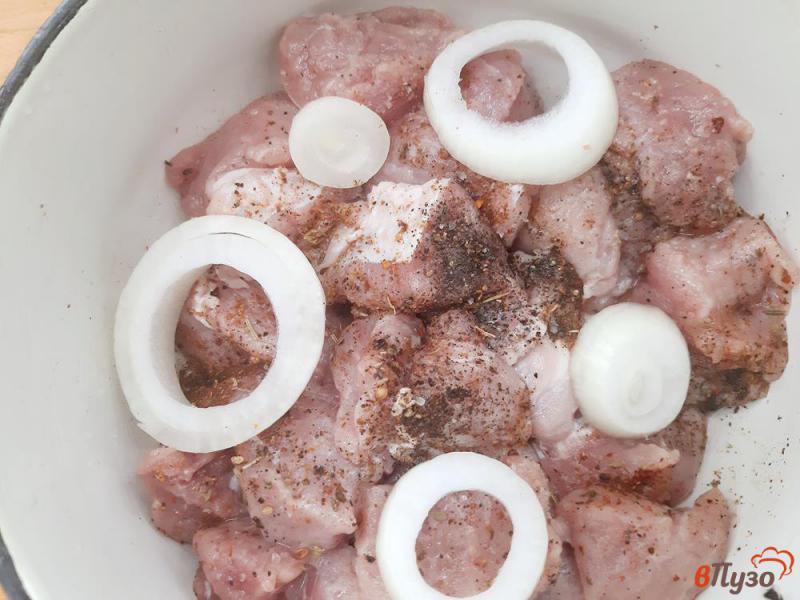 Фото приготовление рецепта: Шашлык из свинины в майонезе на лаваше шаг №4