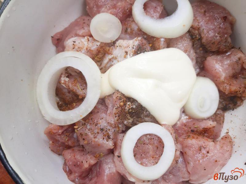 Фото приготовление рецепта: Шашлык из свинины в майонезе на лаваше шаг №5