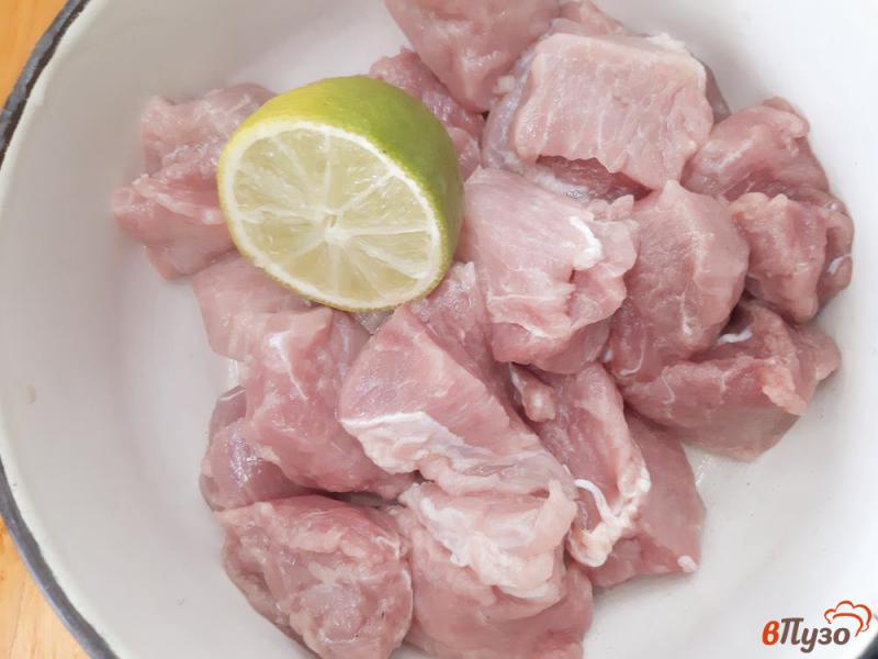 Фото приготовление рецепта: Шашлык из свинины в майонезе на лаваше шаг №2