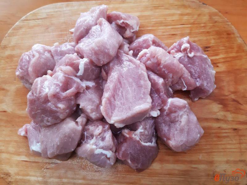 Фото приготовление рецепта: Шашлык из свинины в майонезе на лаваше шаг №1
