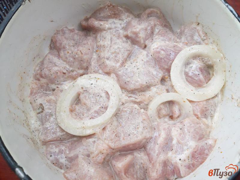 Фото приготовление рецепта: Шашлык из свинины в майонезе на лаваше шаг №6