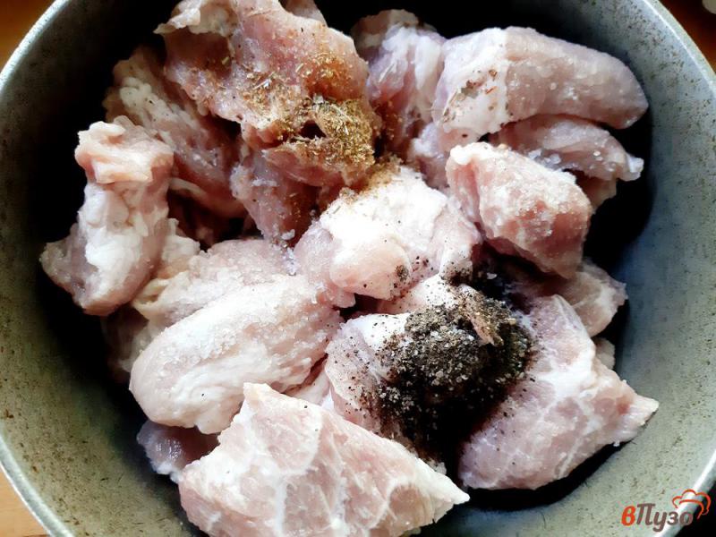 Фото приготовление рецепта: Шашлык свиной с овощами шаг №2