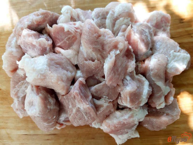 Фото приготовление рецепта: Шашлык свиной с овощами шаг №1
