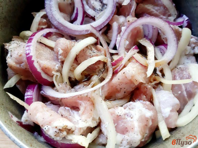 Фото приготовление рецепта: Шашлык свиной с овощами шаг №6
