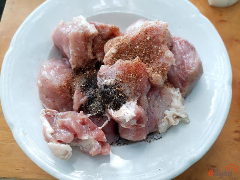 Фото приготовление рецепта: Шашлык на минералке из свинины шаг №2