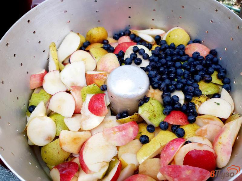 Фото приготовление рецепта: Сок грушевый с яблоками и виноградом на зиму в соковарке шаг №2