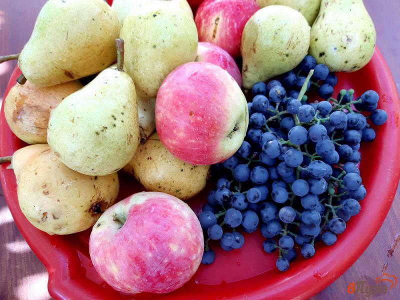 Фото приготовление рецепта: Сок грушевый с яблоками и виноградом на зиму в соковарке шаг №1