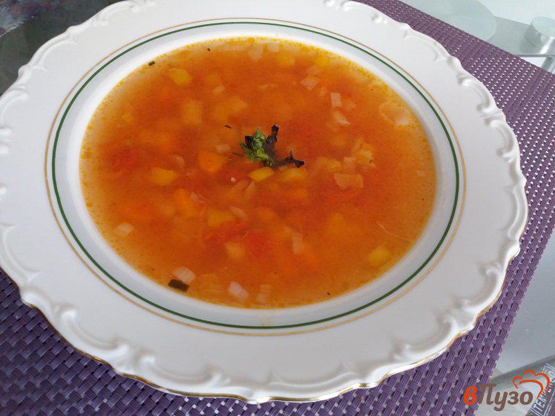 Фото приготовление рецепта: Томатный суп на курином бульоне шаг №8